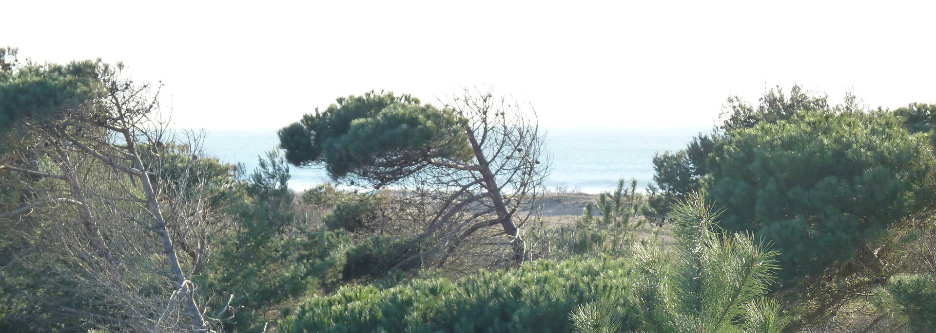 Toegang tot het strand van Boyardville
